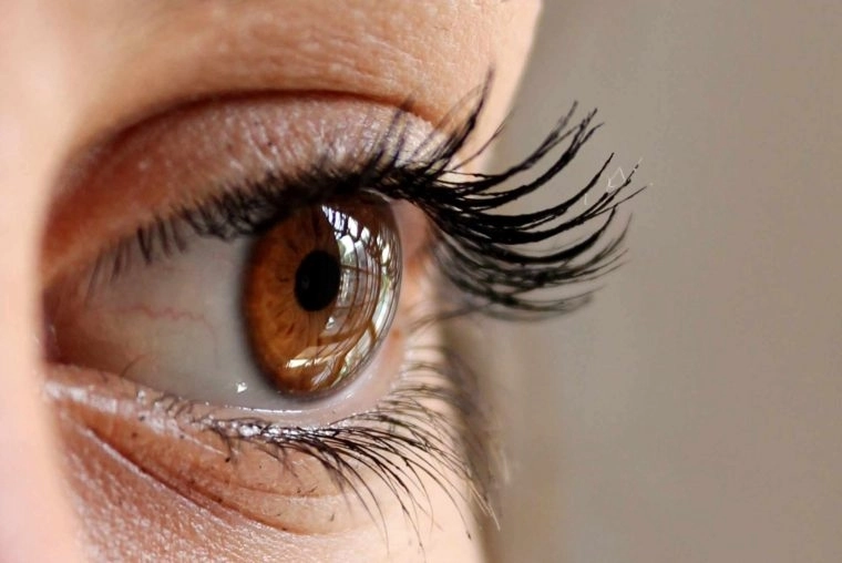 eyelashes-p4l7rqcetokiyd5o2ydue90tvqbn9v7si8lffhh8ew